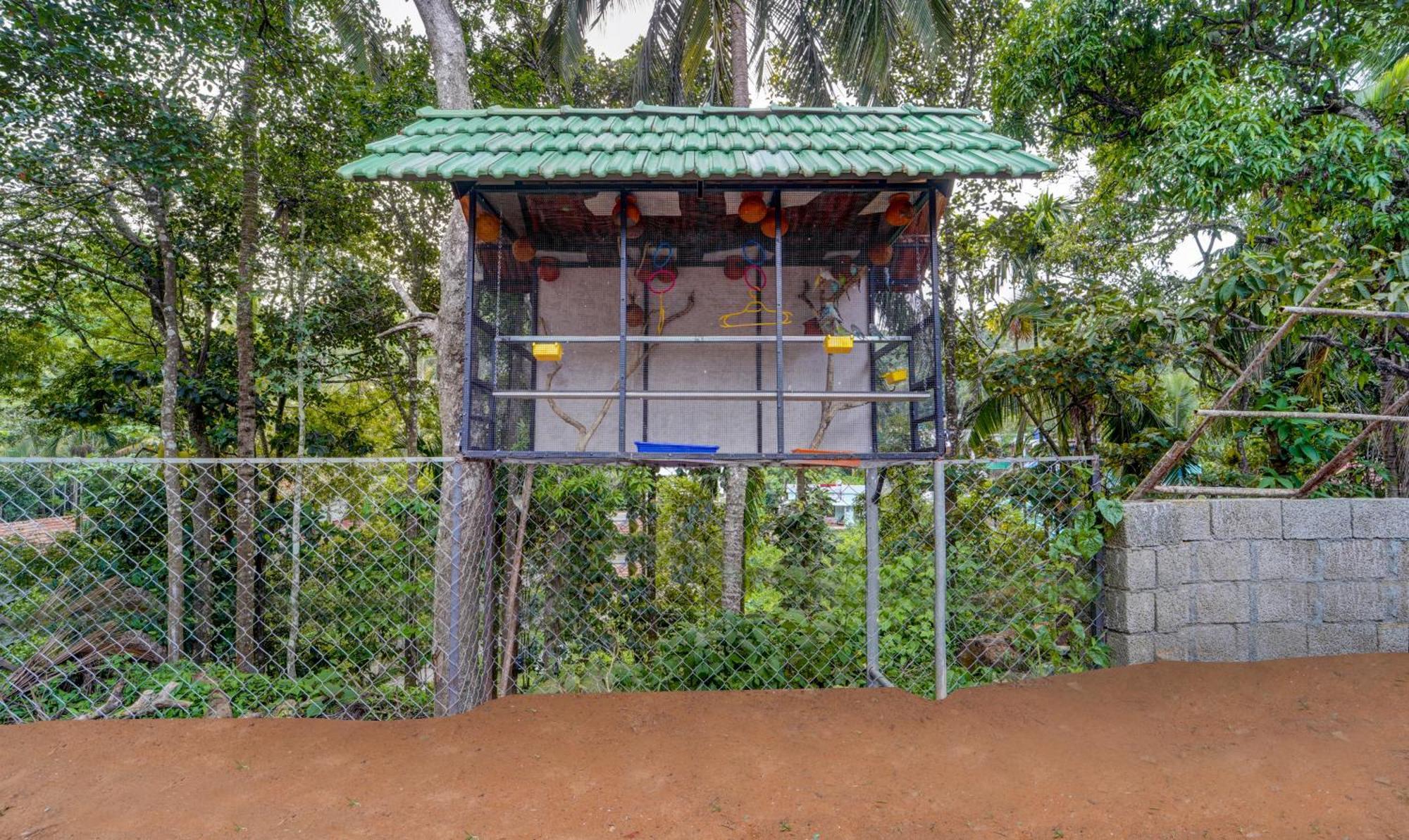 Treebo Regalia Inn Civil Station كالباتّا المظهر الخارجي الصورة